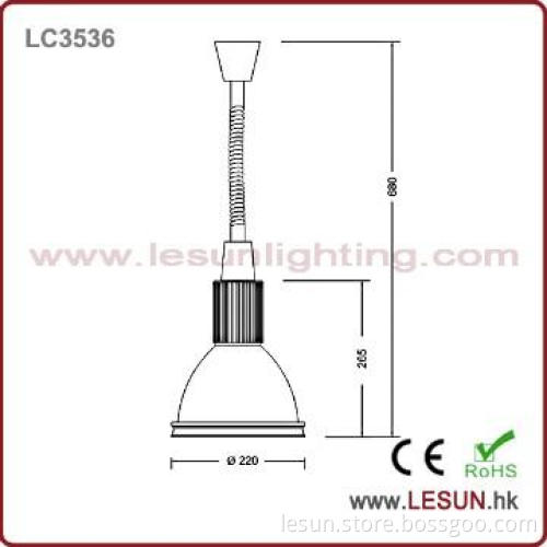 Super market fruit 20w globe pendant led light LC3536
